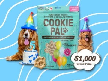 Cookie Pal 5th Anniversary Giveaway