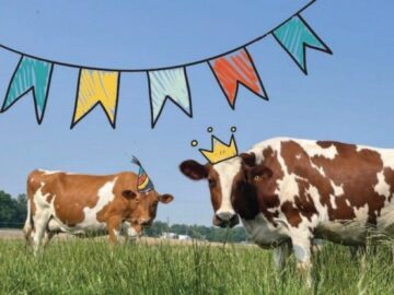 Drink Milk 2025 National Dairy Month Sweepstakes