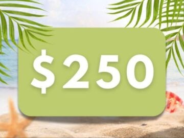 Just a Pinch Summer Vibes Sweepstakes