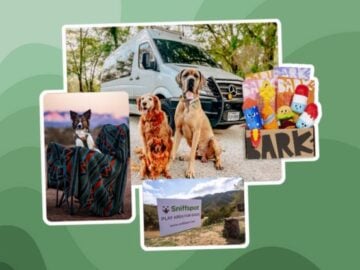 Outdoorsy Dog Days of Summer Giveaway