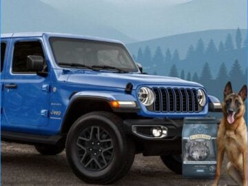 Blue Buffalo Wilderness Made for Adventure Sweepstakes - Instagram
