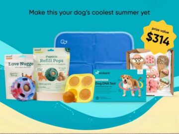 Embark Cool for the Summer Giveaway