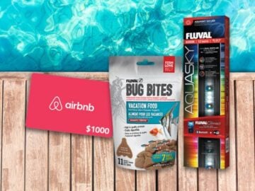Fluval Aquatics Fun in the Sun Contest