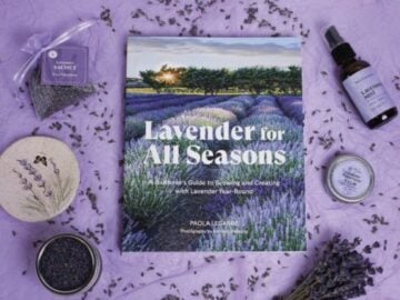 Hachette Book Group Lavender For All Seasons Sweepstakes