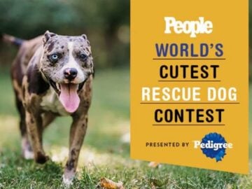 People World's Cutest Rescue Dog Contest - Pet Photo