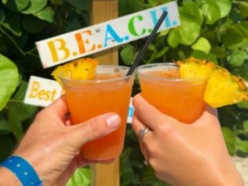 Visit Fort Meyers Shell-cation Giveaway