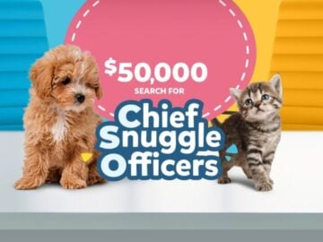 Nestlé Purina PetCare Chief Snuggle Officer Contest – Puppy or Kitten Owners