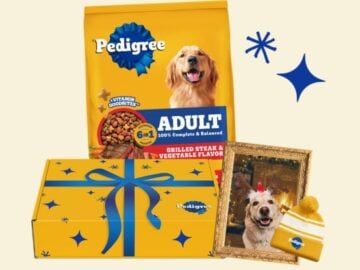 Pedigree Pawliday Portrait Giveaway